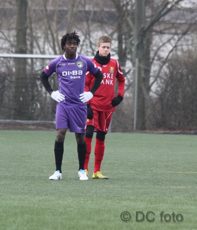 HOLB FCN019